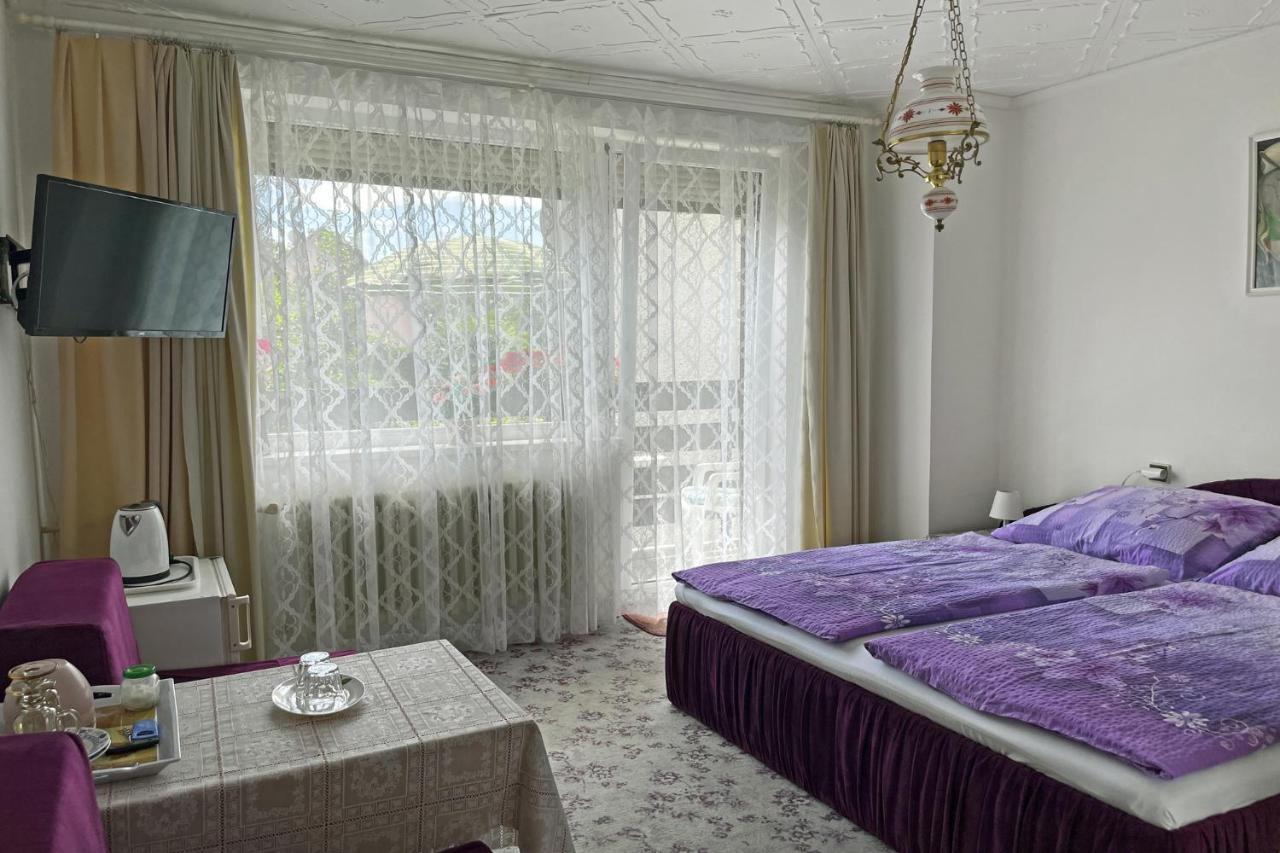 Pension Villa Hany Mariánské Lázně Esterno foto